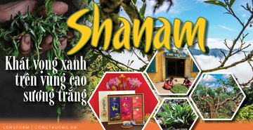 Longform | Shanam: Khát vọng xanh trên vùng cao sương trắng