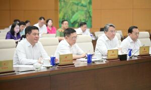 Trình Quốc hội xem xét, thông qua Luật Thương mại điện tử tại Kỳ họp thứ 10