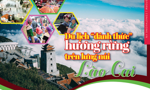 Longform | Du lịch ‘đánh thức’ hương rừng trên lưng núi Lào Cai
