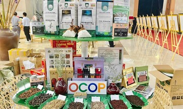 OCOP Gia Lai: Gắn sao cho nông sản, mở lối đến thị trường