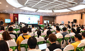 Logistics xanh: Điểm tựa để doanh nghiệp vượt qua các cú sốc