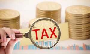 Cưỡng chế thuế Công ty TNHH Xây dựng 26-3 tại Cao Bằng