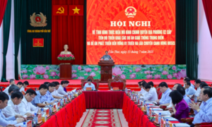 Thủ tướng Phạm Minh Chính đôn đốc tiến độ đề án 1 triệu ha lúa chất lượng cao