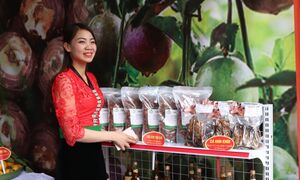 Kết tinh bản sắc, sản phẩm OCOP Sơn La vươn xa