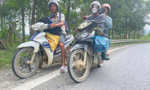 Đà Nẵng: Vượt hàng trăm km vào rừng để tìm ươi bay