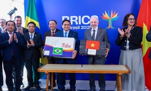 Xuất khẩu thủy sản tăng mạnh nhất ở thị trường Brazil