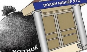 Cưỡng chế thuế, trích tiền từ tài khoản 2 doanh nghiệp tư nhân tại Sơn La