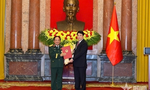Tiểu sử Đại tướng Trịnh Văn Quyết, Chủ nhiệm Tổng cục Chính trị Quân đội nhân dân Việt Nam