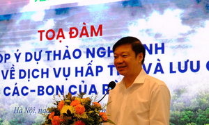 Tín chỉ carbon: Doanh nghiệp nội có thêm lựa chọn bù trừ phát thải