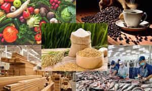 5 năm thực thi EVFTA: Xuất khẩu nông, lâm, thủy sản hưởng lợi lớn