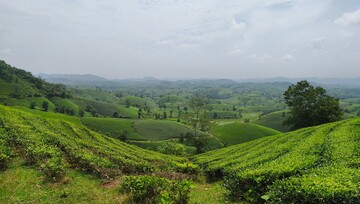 Long Cốc - Phú Thọ: Người dân thoát nghèo nhờ phát triển du lịch