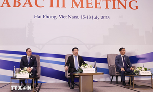 Chủ tịch nước Lương Cường dự phiên khai mạc Kỳ họp Hội đồng Tư vấn Kinh doanh APEC 2025