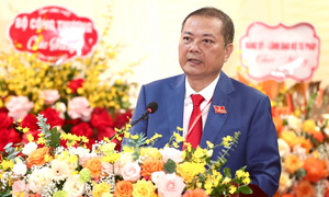 Đảng bộ Cục Xuất nhập khẩu: Chủ động hội nhập, dẫn dắt xuất khẩu thời kỳ mới