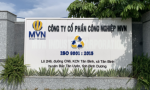 Xử phạt Chi nhánh miền Bắc, Công ty Công nghiệp MVN 320 triệu đồng