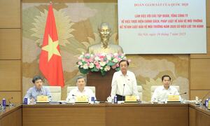Quốc hội làm việc với EVN và Vinachem về công tác bảo vệ môi trường