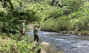 Gặp những người canh cho rừng ngủ tại Quảng Trị