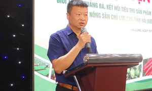 Quảng Ninh: Từ mô hình điểm đến chiều sâu chất lượng nông thôn mới
