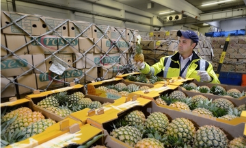 Chuyển đổi vận tải ngành trái cây: Từ hàng không sang đường biển