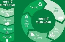 Đẩy mạnh kinh tế tuần hoàn trong nông nghiệp: Cần loại bỏ tư duy cũ!