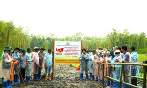 PV Drilling tài trợ 100.000 cây cho dự án trồng phục hồi rừng tràm khu vườn chim