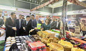 Doanh nghiệp Việt Nam mở rộng thị trường và kết nối đầu tư tại VIETLAO EXPO 2025