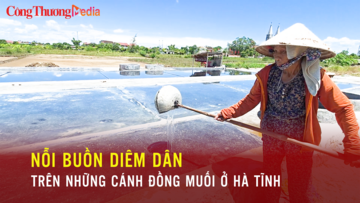 Nỗi buồn của diêm dân trên những cánh đồng muối ở Hà Tĩnh