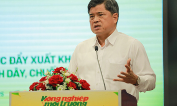 Chanh leo, chuối, dứa, dừa: Nhóm trái cây tỷ USD đang chờ bứt phá