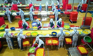 Xuất khẩu rau quả ước vượt 3,8 tỷ USD sau 7 tháng, hướng tới mục tiêu 8 tỷ USD
