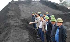 TKV kích hoạt phương án 4 tại chỗ ứng phó bão số 3