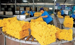 Việt Nam chi hơn 1,4 tỷ USD nhập khẩu cao su trong 6 tháng năm 2025