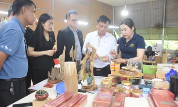 Doanh nghiệp Việt đón sóng giao thương toàn cầu