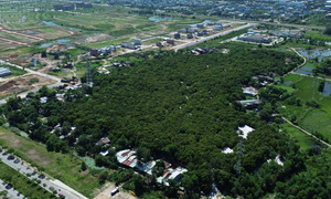 Giữ rừng xanh giữa trung tâm thành phố Đà Nẵng