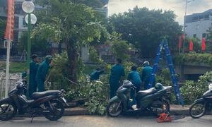Thời tiết hôm nay 22/7: Ảnh hưởng bão số 3, Hà Nội mưa to, gió giật cấp 7-8