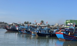 456 tàu cá Quảng Ngãi còn trên biển đã được cảnh báo về bão số 3