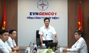 EVNGENCO 1 chủ động ứng phó bão số 3, đảm bảo an toàn cho người lao động