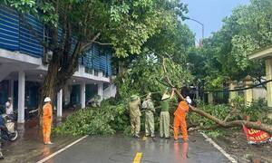 Lào Cai: Ngành điện khẩn trương khắc phục sự cố sau giông lốc