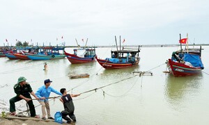 Hà Tĩnh: Gần 4.000 tàu thuyền vào neo đậu, tránh trú bão số 3