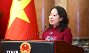 Phó Chủ tịch nước Võ Thị Ánh Xuân: Trí thức trẻ - tinh hoa nhân lực của đất nước