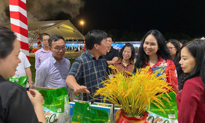 Thúc đẩy thương mại điện tử xuyên biên giới, mở rộng xuất khẩu bền vững