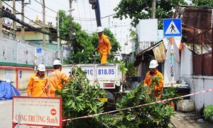 Ngành điện TP. Hồ Chí Minh chủ động ứng phó khẩn cấp bão số 3