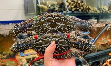 Xuất khẩu cua ghẹ của Việt Nam sang Trung Quốc có thể đạt 200 triệu USD