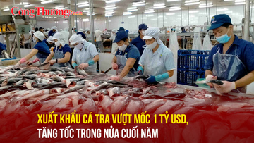 Xuất khẩu cá tra vượt mốc 1 tỷ USD, tăng tốc trong nửa cuối năm