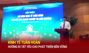 Kinh tế tuần hoàn - Hướng đi tất yếu cho phát triển bền vững