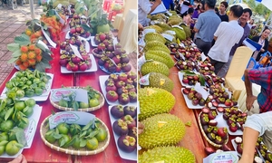 Đẩy mạnh chuỗi giá trị, mở rộng thị trường tiêu thụ trái cây miền núi
