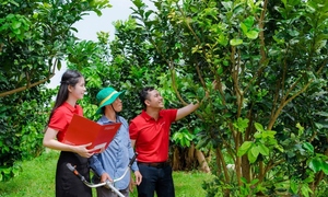 Agribank tích cực hỗ trợ hộ kinh doanh chuyển đổi thành doanh nghiệp