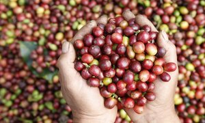 Tăng giá trị nông, thủy sản Việt bằng chế biến sâu và chuỗi liên kết bền vững