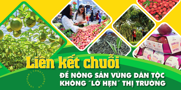 Longform | Liên kết chuỗi: Để nông sản vùng dân tộc không “lỡ hẹn” thị trường