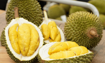 Sầu riêng Việt phục hồi, tăng tốc vào thị trường Trung Quốc