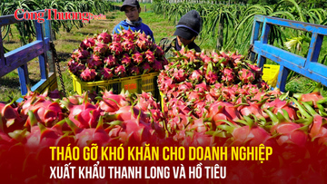 Tháo gỡ khó khăn cho doanh nghiệp xuất khẩu thanh long và hồ tiêu