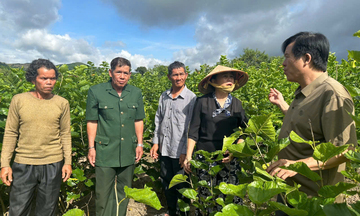 Quảng Ngãi: Xã biên giới Bờ Y vươn mình phát triển toàn diện